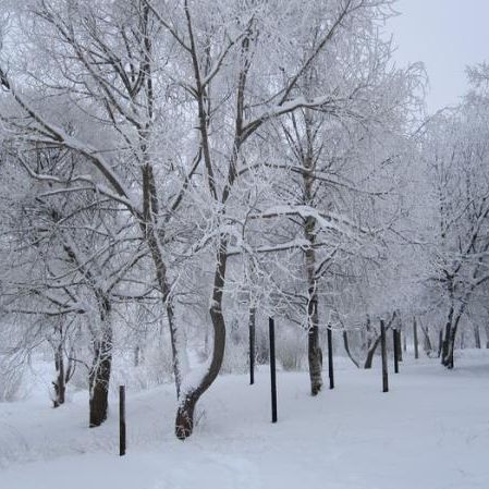 Зима в Пчеве
